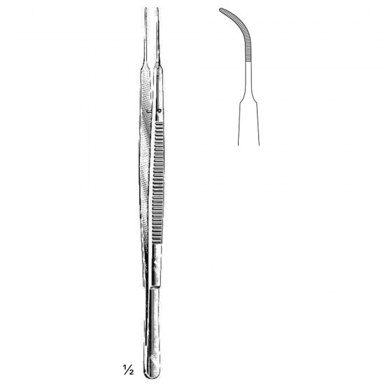 Gerald (Serrated)