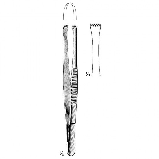 Lerche (5x6 Teeth)