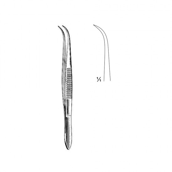 Flat (Curved)