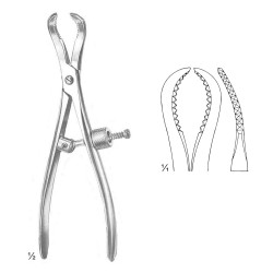 Bone Holding Forceps