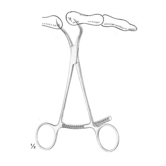 Bone Holding