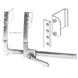 Finocchietto-Euromed