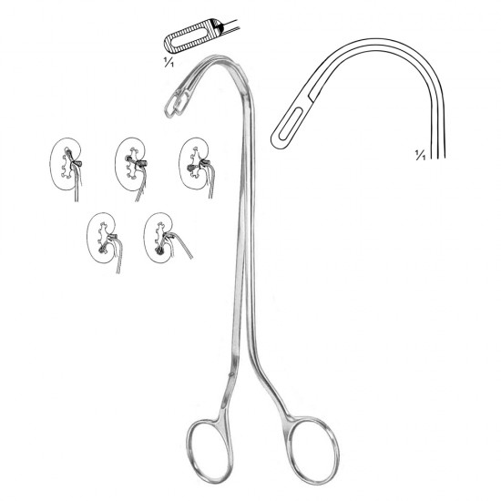 Randall